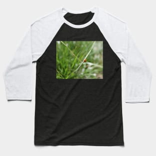 Lucky Ladybug in the grass Baseball T-Shirt